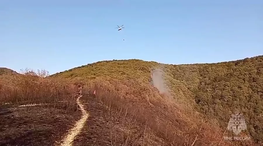  &copy;&nbsp;скриншот видео МЧС России