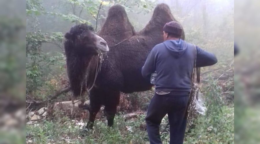  © Фото из аккаунта Алексея Одерова, www.instagram.com/alekseioderov