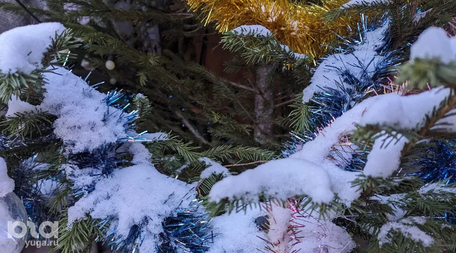  &copy;&nbsp;Фото Александры Прохоренковой-Аксёновой, Юга.ру