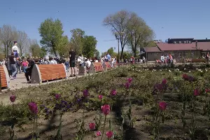  &copy;&nbsp;Фото Марии Строителевой, Юга.ру