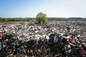  &copy;&nbsp;Фото Елены Синеок, Юга.ру