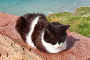  &copy;&nbsp;Фото Марины Солошко. Юга.ру