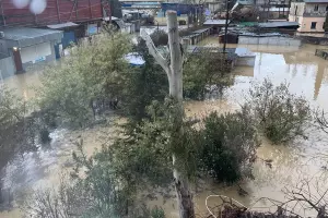  &copy;&nbsp;Скриншот фото из телеграм-канала &laquo;Сочи с огоньком&raquo;