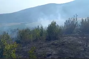  &copy;&nbsp;Кадр из видео краевого лесопожарного центра