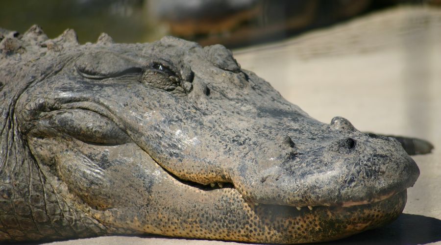  © Фото James Lee, Unsplash.com