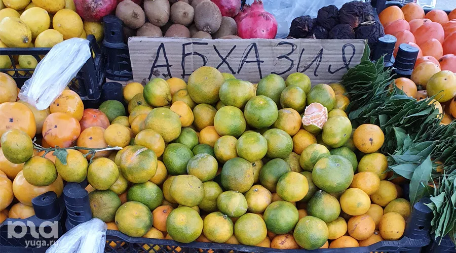  &copy;&nbsp;Фото Марины Солошко, Юга.ру