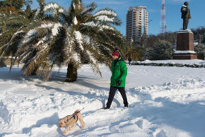 Сочи в снегу © Фото Никиты Быкова, Юга.ру