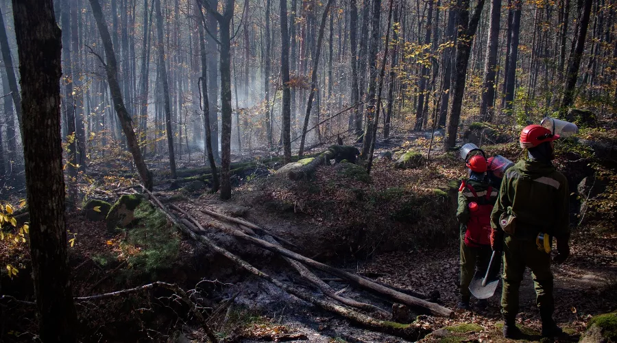  &copy;&nbsp;Фото со страницы vk.com/dobrofire