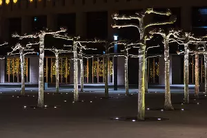 Парк «Краснодар» &copy;&nbsp;Фото Елены Синеок, Юга.ру