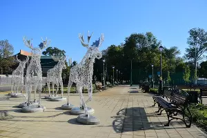  &copy;&nbsp;Фото пресс-службы администрации Краснодара
