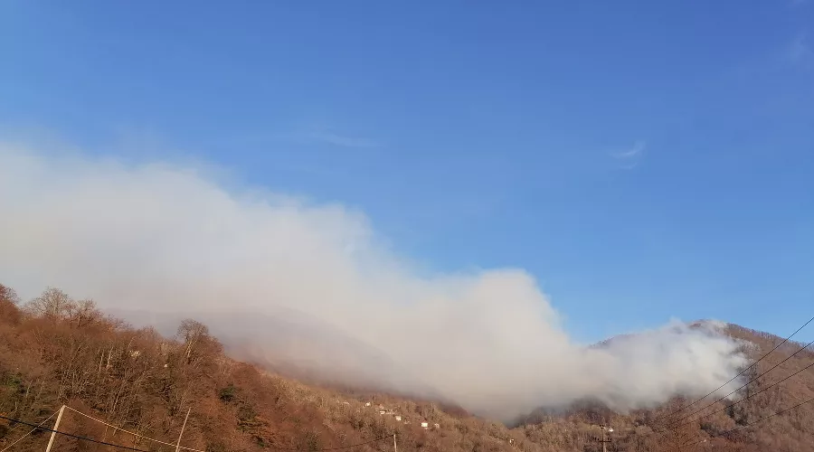  &copy;&nbsp;Фото пресс-службы Сочинского нацпарка