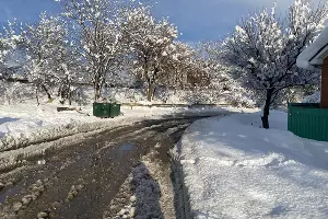  &copy;&nbsp;Фото Валерии Кирсановой