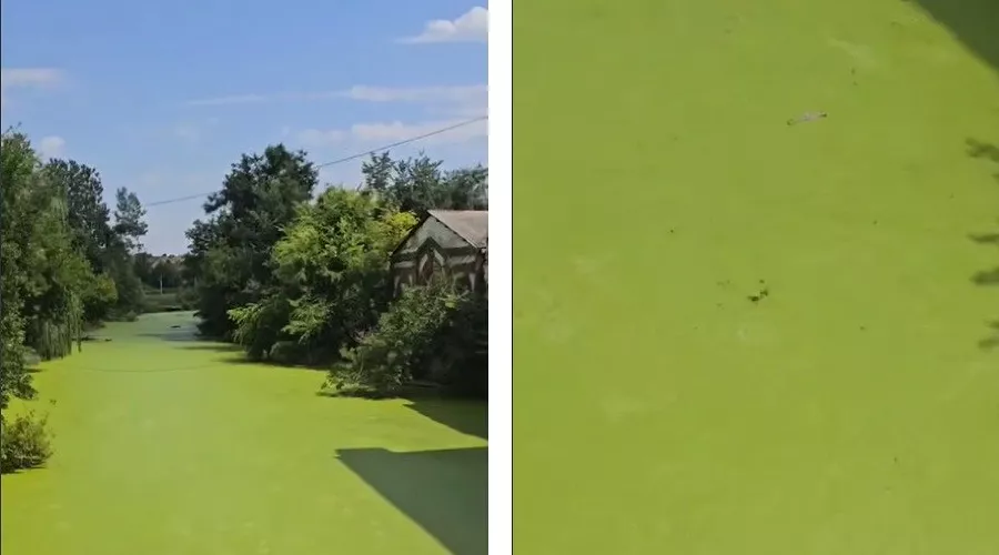  &copy;&nbsp;Коллаж из скриншотов фото из телеграм-канала &laquo;Подъем&raquo;