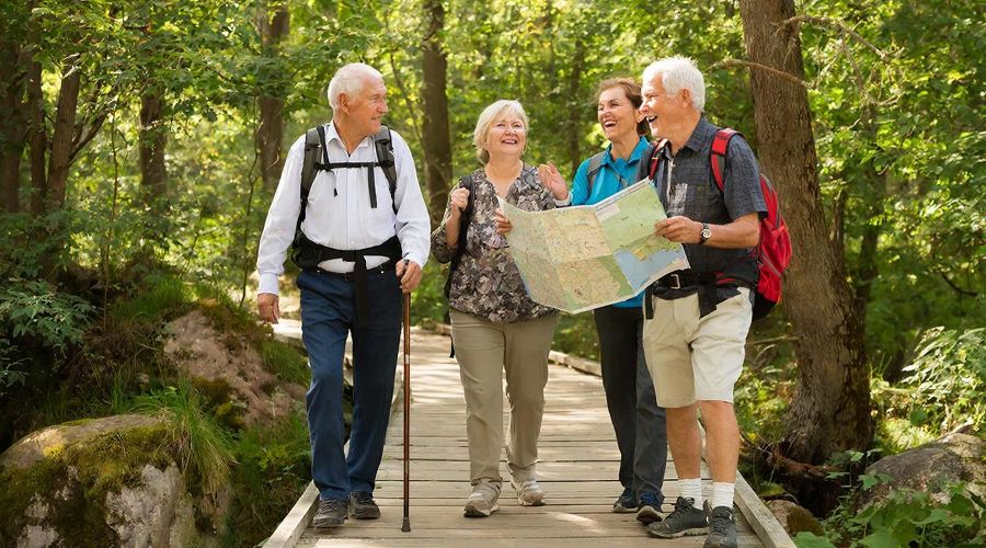 пенсионер &copy;&nbsp;Изображение сгенерировано нейросетью Gigachat