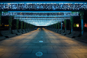 Парк «Краснодар»  с новогодней подсветкой &copy;&nbsp;Фото Елены Синеок, Юга.ру