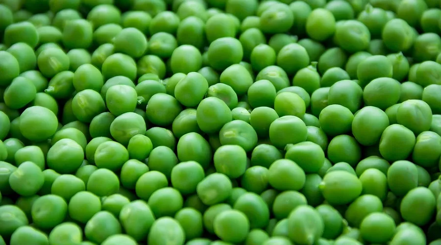  &copy;&nbsp;Фото с сайта pixabay.com