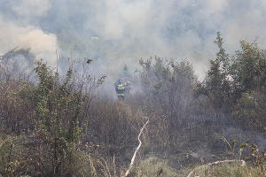  © Фото пресс-службы ЮРПСО МЧС России