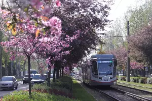  &copy;&nbsp;Фото Марины Солошко, Юга.ру