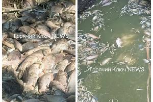  © Скриншот из телеграм-канала «Горячий Ключ News» https://t.me/gk_news1/71782