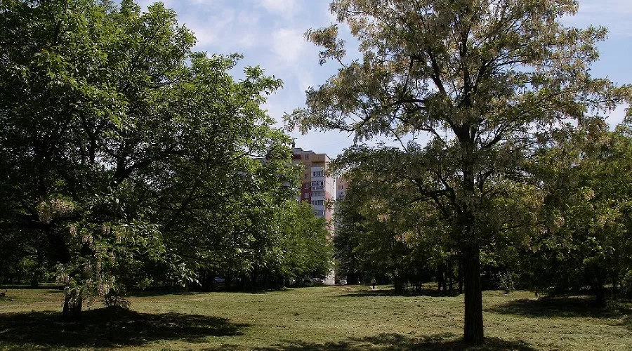  &copy;&nbsp;Фото пресс-службы администрации Краснодара