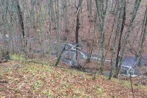  &copy;&nbsp;Фото &laquo;Эковахты по Северному Кавказу&raquo;