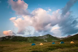  &copy;&nbsp;Фото Елены Синеок, Юга.ру