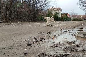 Музыкальный микрорайон © Андрей Малеваный Юга.ру