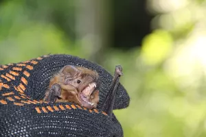  &copy;&nbsp;Фото пресс-службы заповедника &laquo;Утриш&raquo;