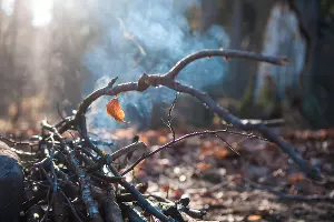  &copy;&nbsp;Елена Синеок, ЮГА.ру