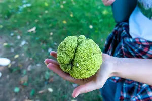  &copy;&nbsp;Фото Дмитрия Пославского, Юга.ру