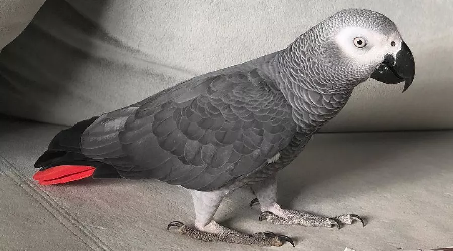  &copy;&nbsp;Фото из инстаграма Аланы Мамаевой, instagram.com/alana_mamaeva