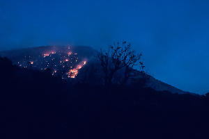 Пожар в заповеднике «Утриш» &copy;&nbsp;Фото Виталия Кавтарадзе
