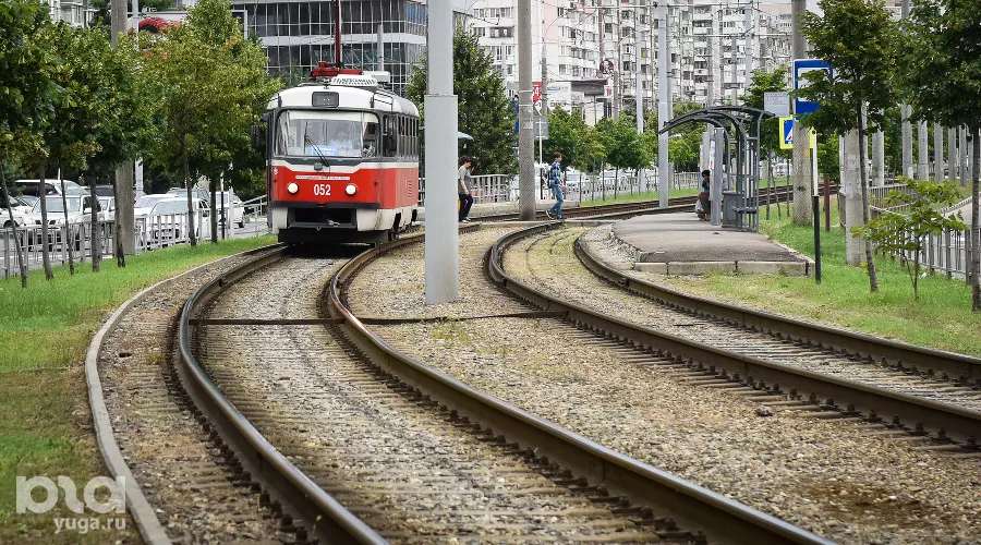  &copy;&nbsp;Фото Елены Синеок, Юга.ру