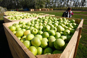  © Влад Александров, ЮГА.ру