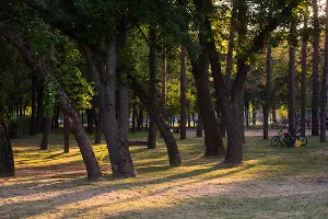  &copy;&nbsp;Фото Елены Синеок, Юга.ру