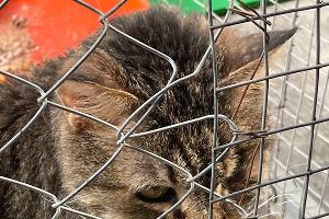  © Фото Даниила Вальца