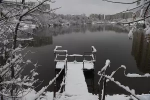 Снег в Краснодаре &copy;&nbsp;Фото Елены Синеок, Юга.ру