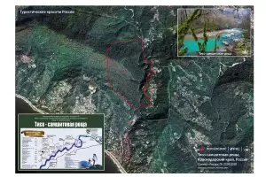 Тисо-самшитовая роща Сочи из космоса &copy;&nbsp;Скриншот фото с сайта kuban.rbc.ru