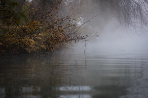 Туман в парке «Солнечный остров» © Фото Елены Синеок, Юга.ру