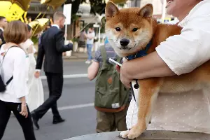  &copy;&nbsp;Фото Елены Синеок, Юга.ру