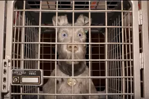 Кадр из трейлера к фильму «Остров собак» &copy;&nbsp;Скриншот видео с Rutube-канала &laquo;КиноПИК&raquo;