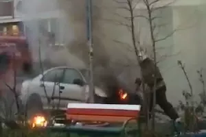  &copy;&nbsp;Скриншот из видео www.instagram.com/typodar