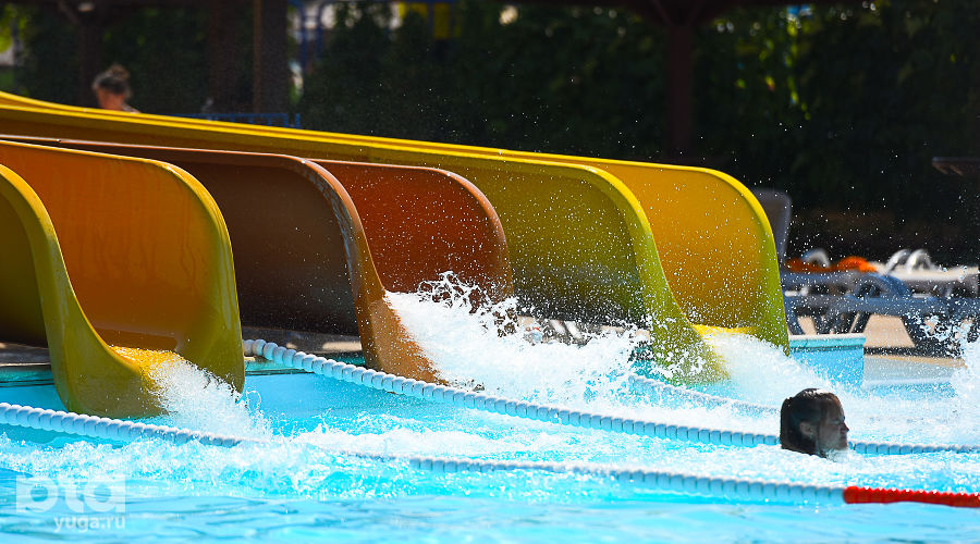  © Фото Елены Синеок, Юга.ру