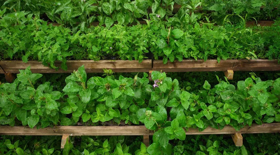 огород &copy;&nbsp;Изображение сгенерировано нейросетью Gigachat