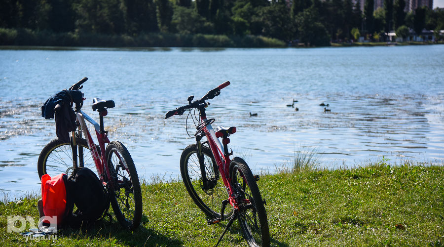 Велосипеды на берегу Покровского озера © Фото Елены Синеок, Юга.ру