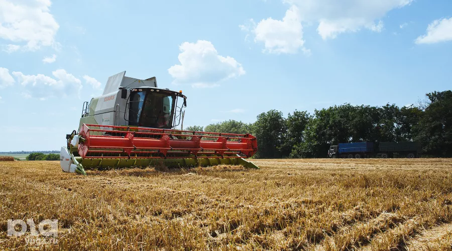  &copy;&nbsp;Фото Амины Ибрагимовой, Юга.ру