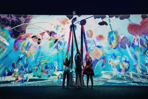 Мультимедийная &laquo;Галерея иллюзий&raquo; в &laquo;Сочи Парке&raquo; &copy;&nbsp;Фото пресс-службы &laquo;Сочи Парка&raquo;