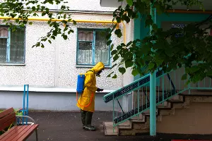 Дезинфекция жилых домов в Краснодаре &copy;&nbsp;Фото Дмитрия Леснова, Юга.ру
