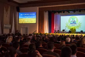  &copy;&nbsp;Фото Елены Синеок, Юга.ру