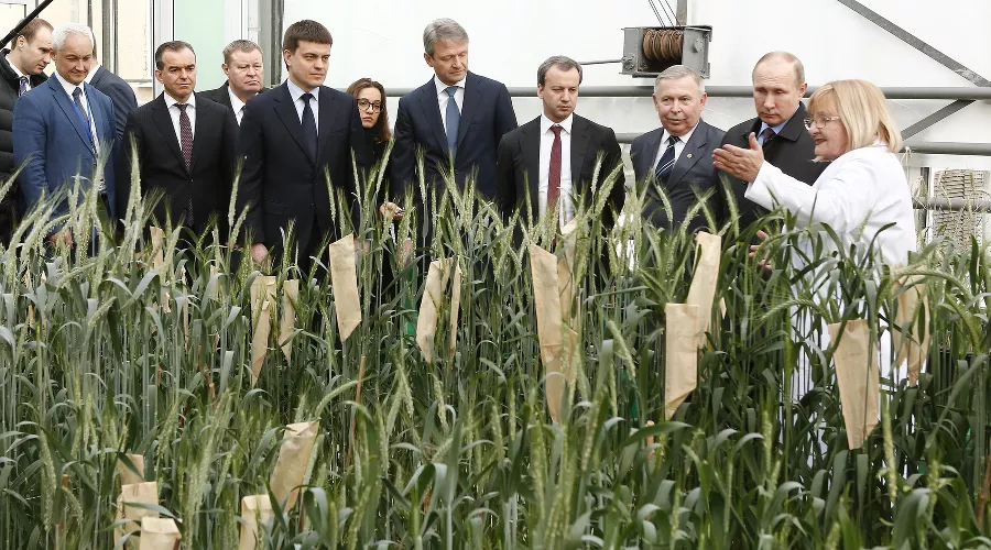 Владимир Путин на Всероссийском форуме сельхозпроизводителей &copy;&nbsp;Фото Юга.ру